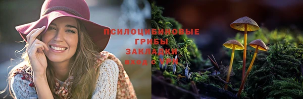 мяу мяу мука Алексеевка