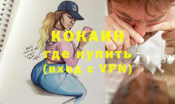 тгк Алексин