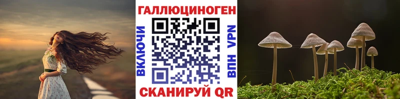 наркошоп  Новая Ляля  Галлюциногенные грибы Magic Shrooms 